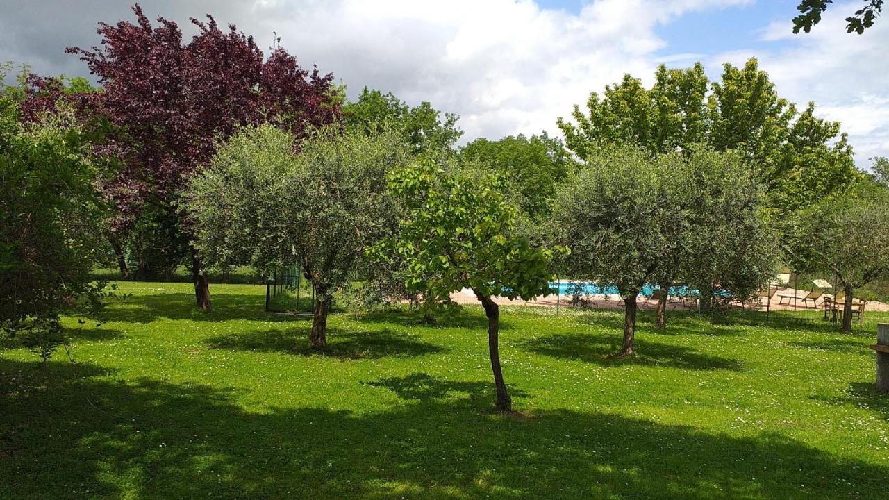 La Vecchia Fornace Vendégház Cortona Kültér fotó